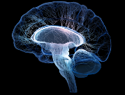 Nadwrażliwość mózgu osób cierpiących na migrenę