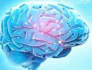 Cyfrowe bliźniaki mózgu rewolucjonizują opiekę nad...