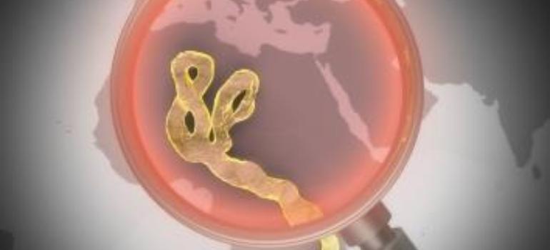 WHO: na ebolę zmarło już ponad 4900 osób; ponad 10 tys. zarażonych