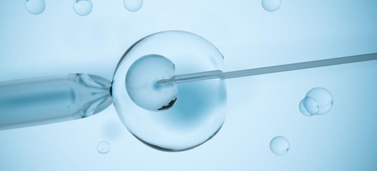 Sosnowiec: Kolejne ciąże z programu in-vitro