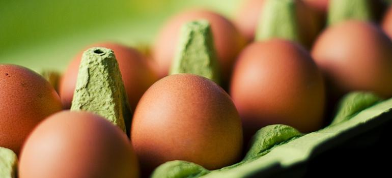 Codzienne spożywanie jajek może zmniejszać ryzyko chorób sercowo-naczyniowych