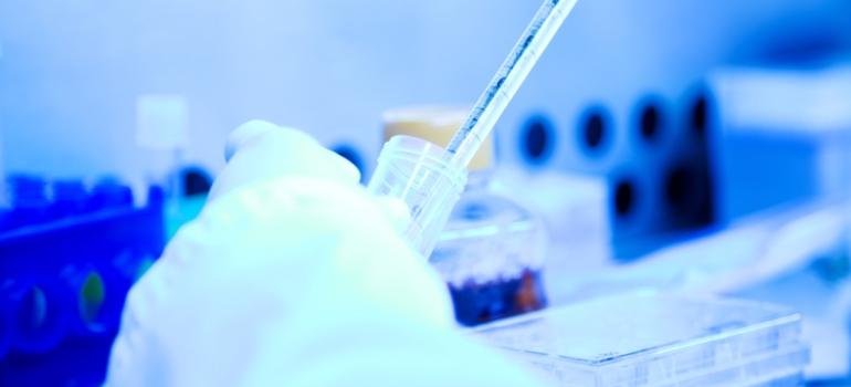 Prof. Rzymski: odkrycie noblistów umożliwia tworzenie kolejnych szczepionek i leków przeciwnowotworowych