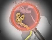 WHO: znów wzrósł bilans ofiar śmiertelnych eboli	