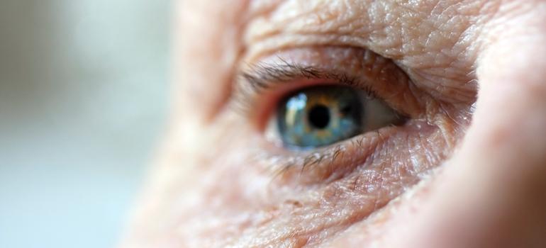 Naukowcy odkryli po raz pierwszy, jak oczy usuwają fragmenty komórkowe oraz zbędne metabolity