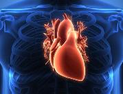 Transplantolog: teraz serce ma 12 godzin dla życia